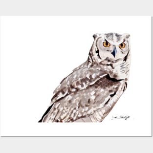 Spotted Eagle Owl Posters and Art